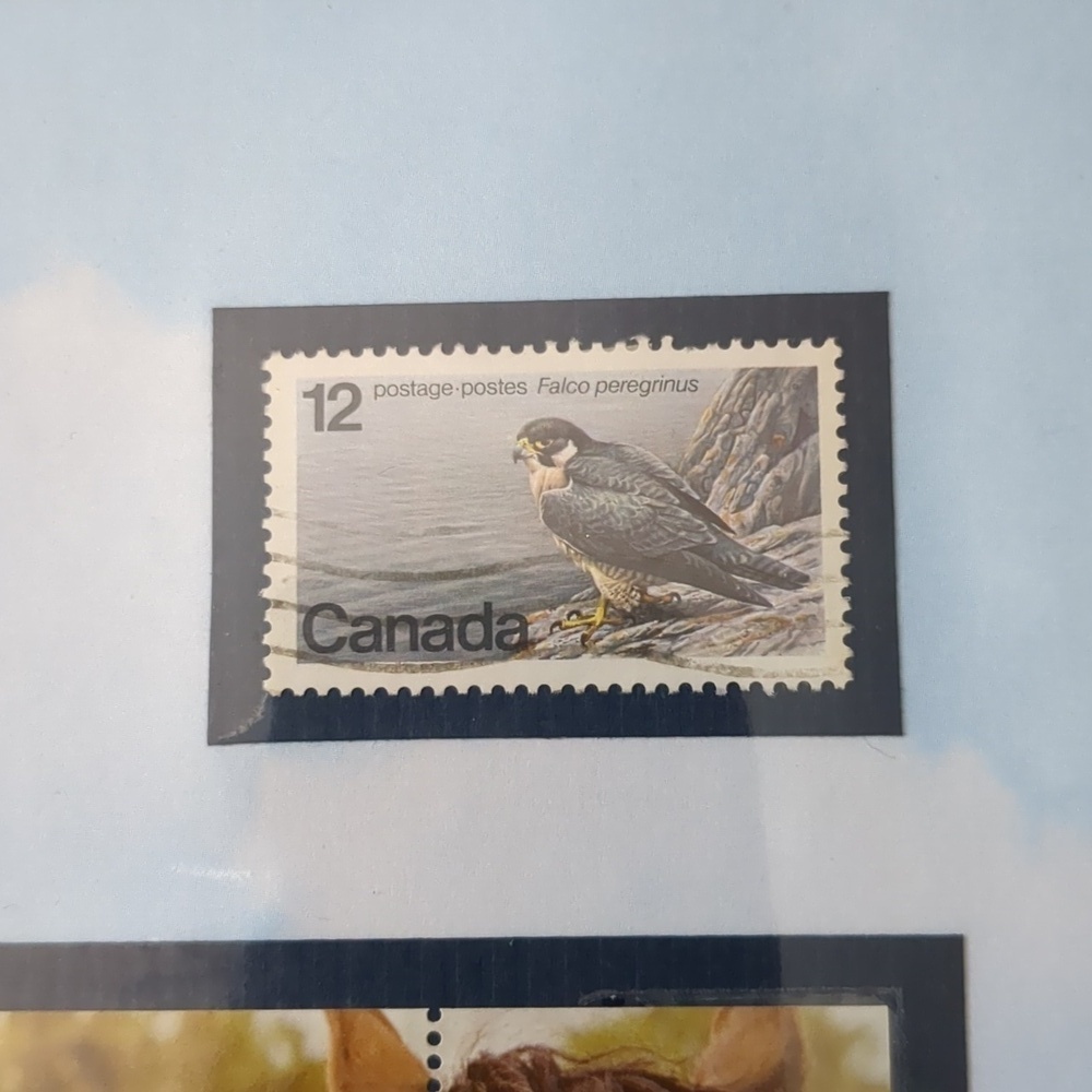 Peregrine Falcon Stamp Collection - Picture 3 of 6